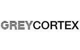 Grey Cortex